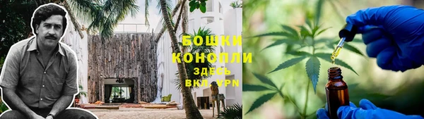 спиды Аркадак