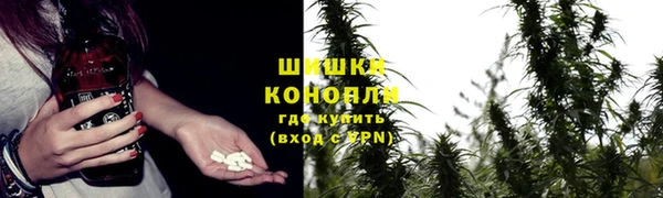 кокс Арсеньев