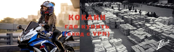 кокс Арсеньев